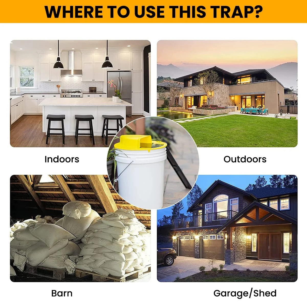 Metal Mouse & Rat Trap Cage | Humane Multi-Catch